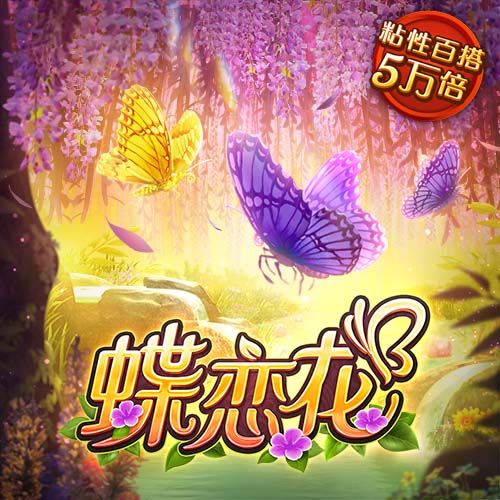 彩虹网官方网站进入sottop